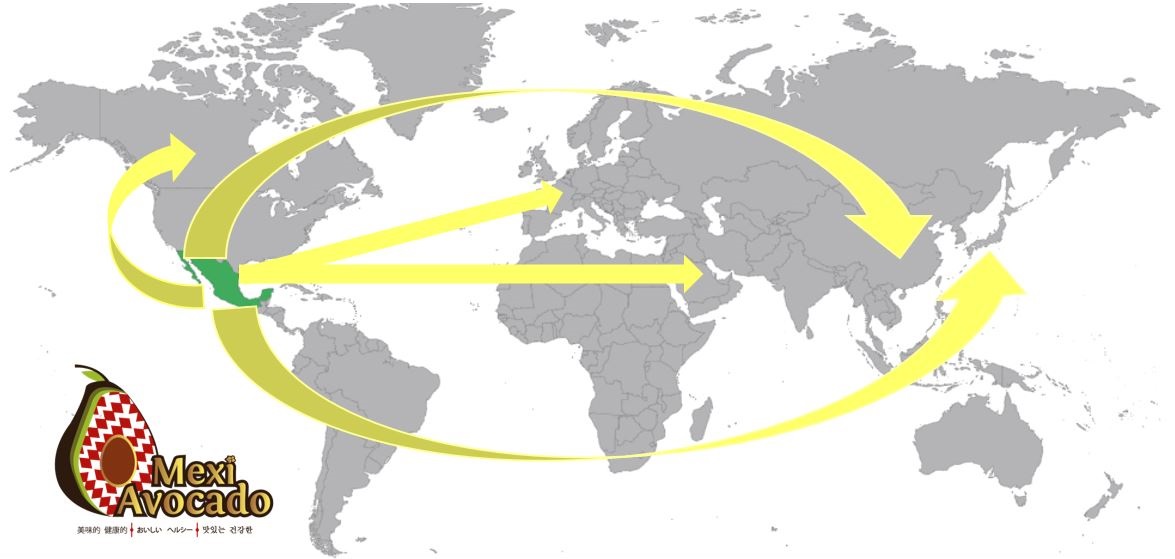 IntroMap_MexiAvocadoMarkets